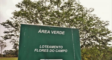 Imagem Dia da Árvore: setor imobiliário também contribui com o meio ambiente